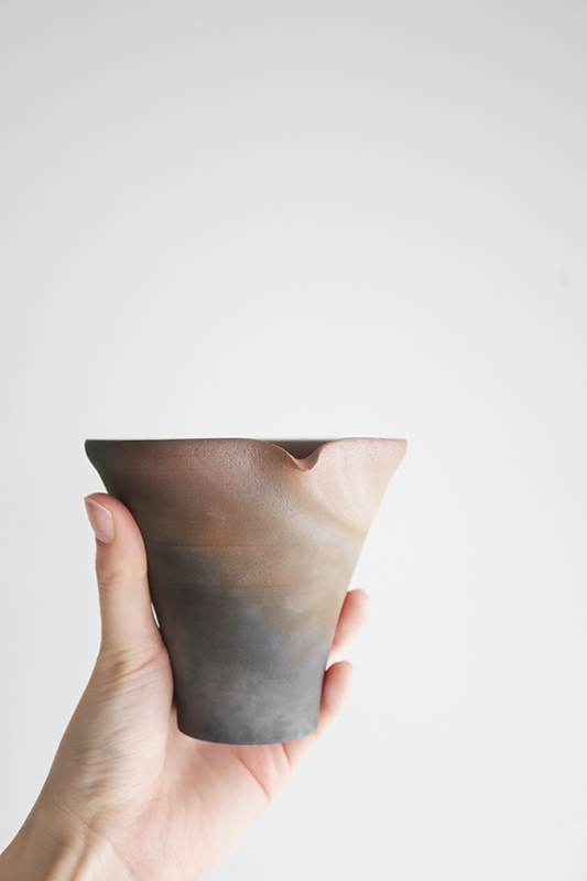 IMG_5211 のコピー