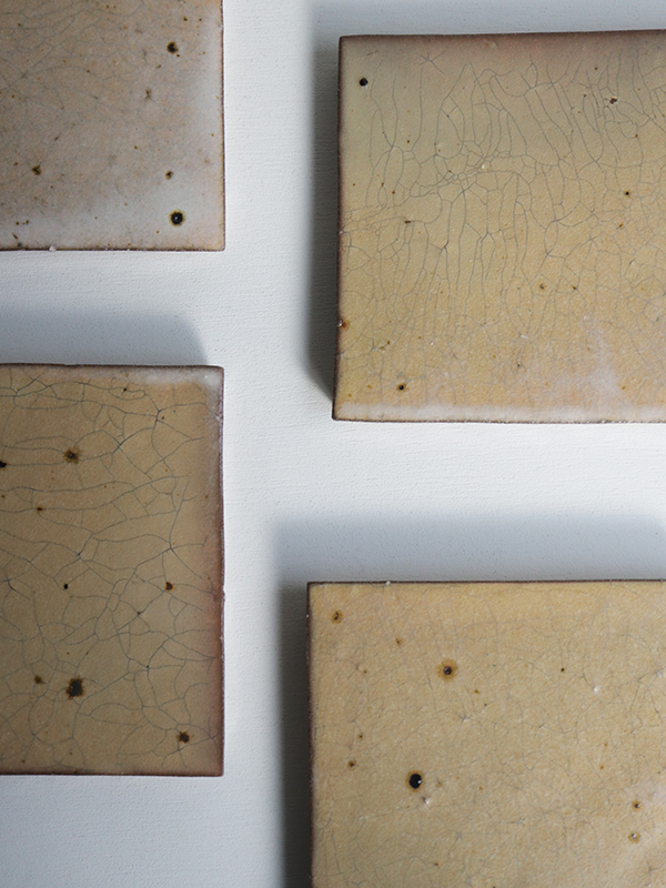 IMG_6350 のコピー