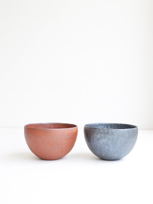 IMG_6412 のコピー