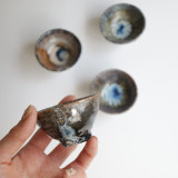 IMG_7669 のコピー