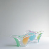 IMG_9060 のコピーss