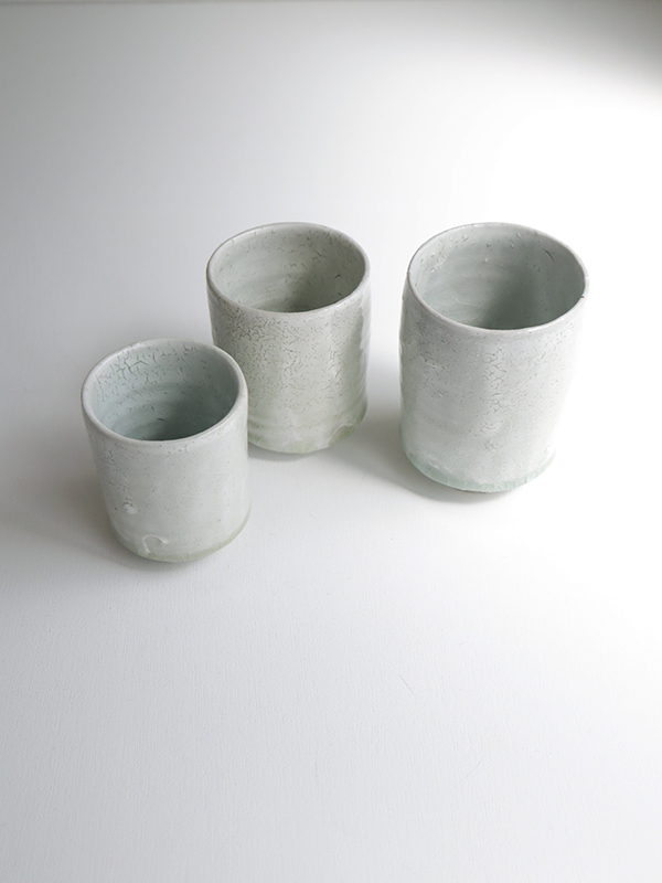 IMG_1195 のコピーss