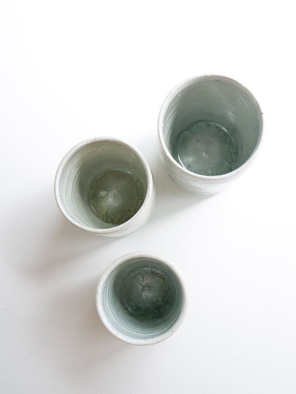 IMG_1194 のコピーss