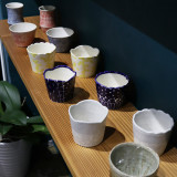 IMG_1381 のコピーss