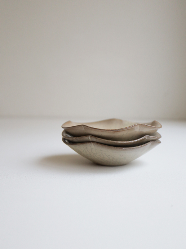 IMG_2105 のコピー