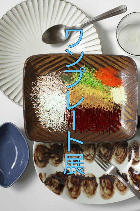 ワンプレート展DM-1