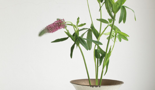 『七理 摩弓 展』が始まりました。